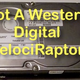 Illustration for article titled Best Buy Sells Egregiously Crappy, 9-Year-Old Hard Drive As New, Then Refuses Refund